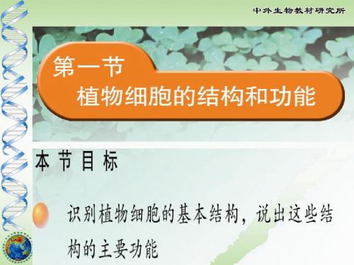 植物细胞结构和功能