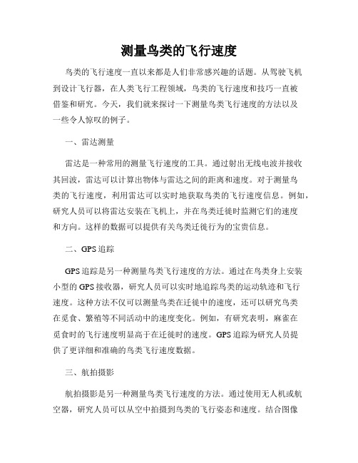 测量鸟类的飞行速度