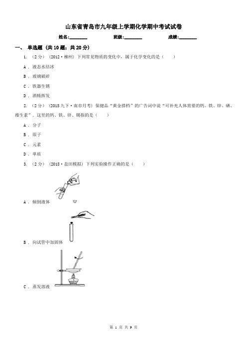 山东省青岛市九年级上学期化学期中考试试卷