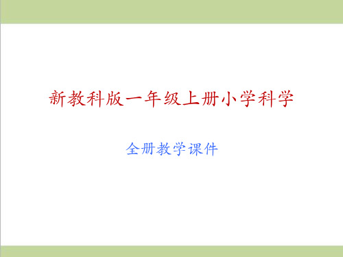 (新教材)教科版一年级上册科学全册教学课件PPT