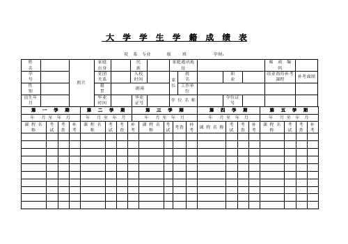 大学生学籍成绩表