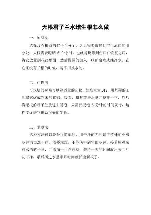 无根君子兰水培生根怎么做