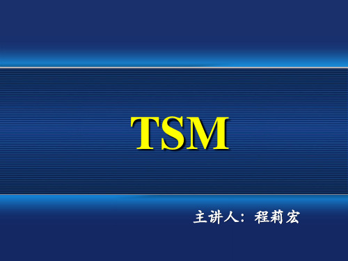 TSM(修改版)