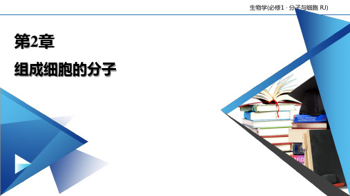 组成细胞的分子本章整合【新教材】人教版高中生物必修一教学课件