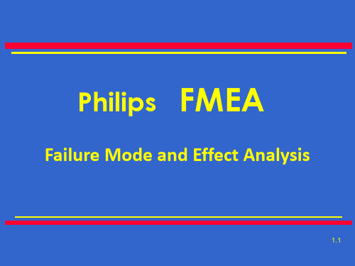 PhilipsFMEA(3)