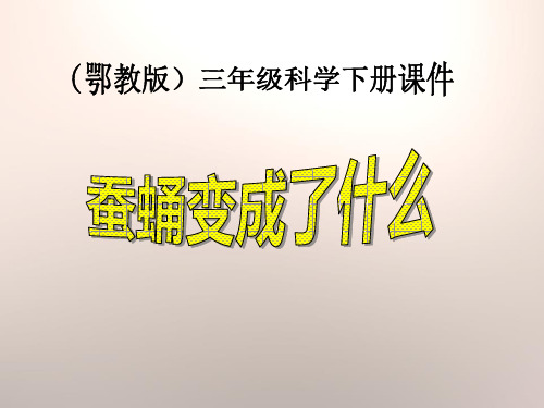 《蚕蛹变成了什么》科学教学PPT课件(3篇)