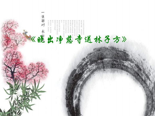 【部编版】晓出净慈寺送林子方PPT课件1