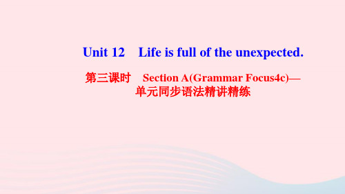 英语九年级全册Unit12第3课时单元同步语法精讲精练作业课件 人教新目标版