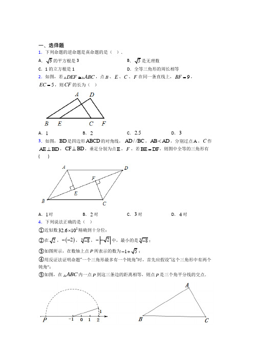 上海金山区教师进修学院附属中学八年级数学上册第二单元《全等三角形》测试题(包含答案解析)