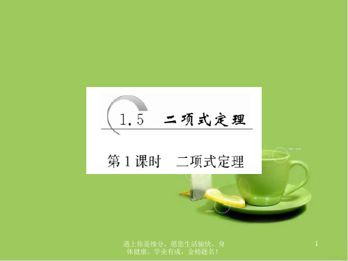 高中数学苏教版选修2-3：1.5 第1课时 二项式定理 