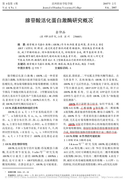 腺苷酸活化蛋白激酶研究概况