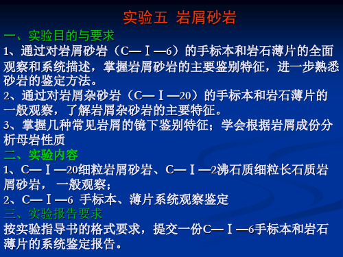 实验五、岩屑砂岩)