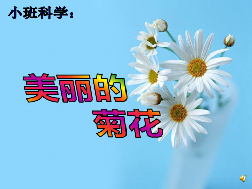 新城家园幼儿园《美丽的菊花》PPT课件