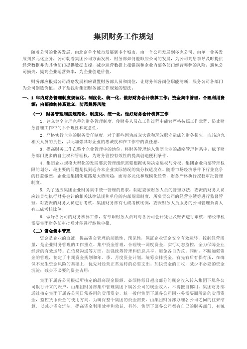 集团财务工作规划