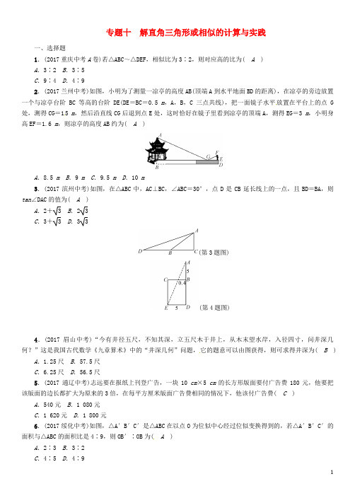 河北省中考数学总复习 第二编 专题突破篇 专题10 解直角三角形或相似的计算与实践(精练)试题