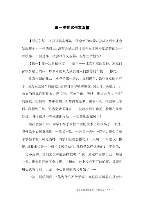 那一次尝试作文五篇