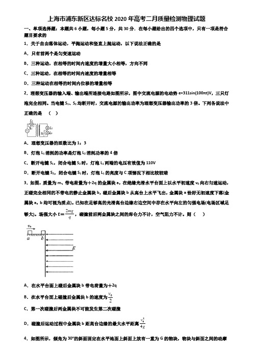 上海市浦东新区达标名校2020年高考二月质量检测物理试题含解析.doc