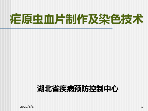 2019415疟原虫血片制作染色-PPT课件