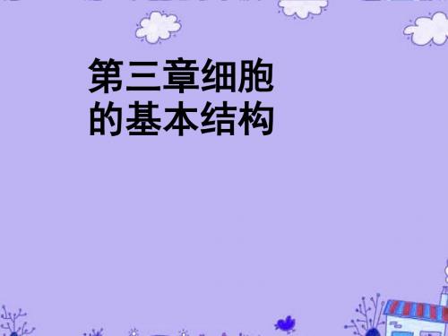 高三生物高考第一轮复习课件第三章细胞的基本结构课件