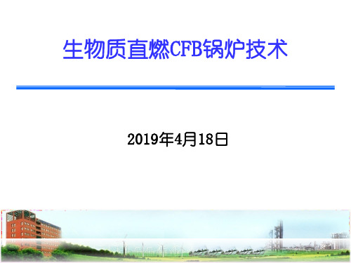 生物质直燃CFB锅炉技术