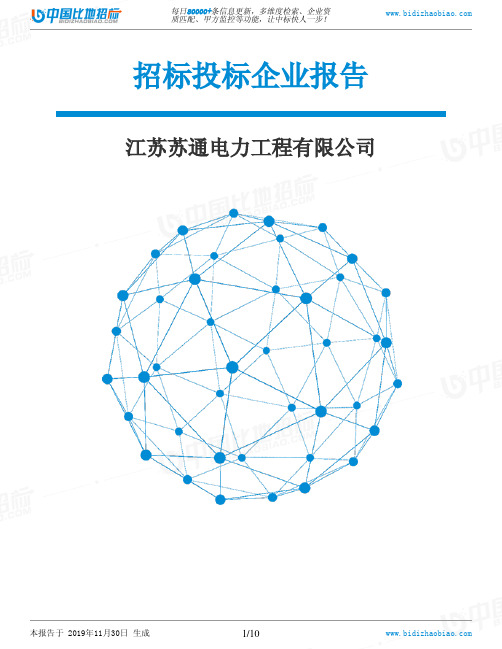 江苏苏通电力工程有限公司-招投标数据分析报告