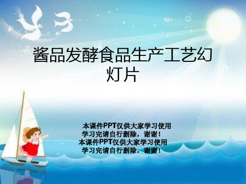 酱品发酵食品生产工艺幻灯片