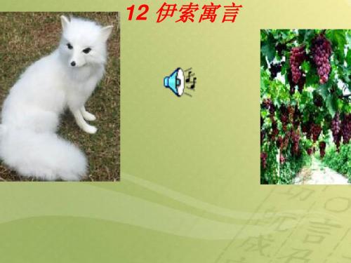 七年级语文--狐狸和葡萄PPT教学课件
