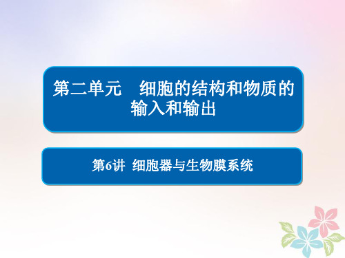 全国版2019版高考生物一轮复习第6讲细胞器与生物膜系统课件