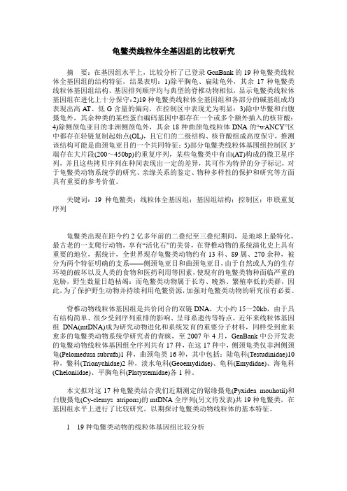 龟鳖类线粒体全基因组的比较研究