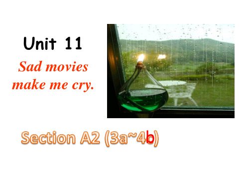 人教版PEP初中九年级英语Unit 11第二课时 Section A2(3a~4c)优秀课件