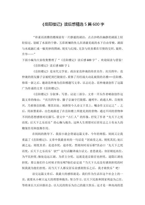 《岳阳楼记》读后感精选5篇600字