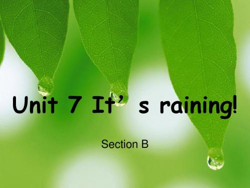 人教英语七下U7 Section B 1a—1e  (共34张PPT)