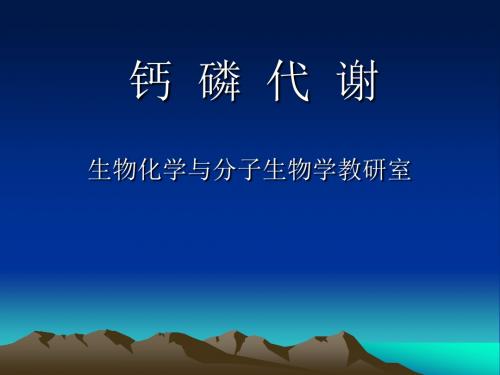 钙磷代谢-生物化学与分子生物学