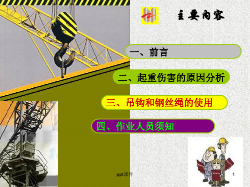 起重机安全教育培训  ppt课件