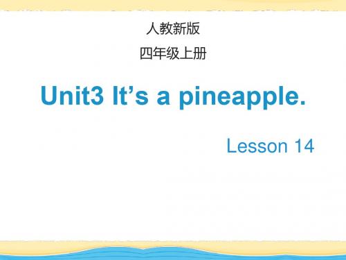 四年级上册英语课件-Unit 3 It’s a pineapple  Lesson 14_人教(精通)(2014秋) (共24张PPT)