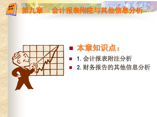 会计报表附注与其他信息分析