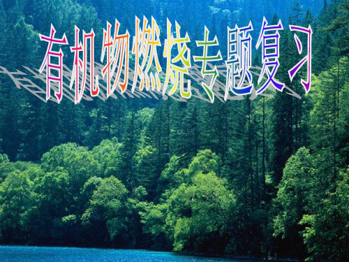 有机物燃烧的专题复习