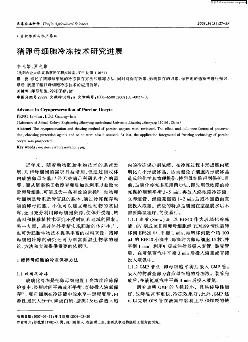 猪卵母细胞冷冻技术研究进展