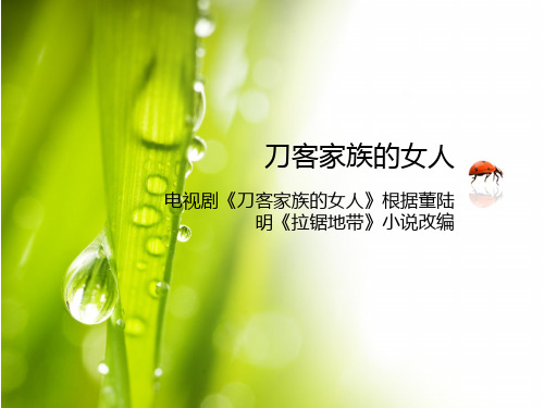 刀客家族的女人