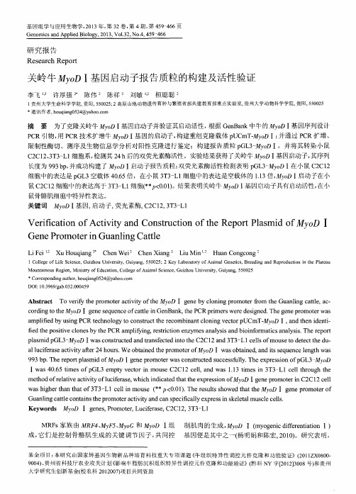 关岭牛MyoD I基因启动子报告质粒的构建及活性验证