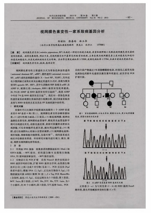 视网膜色素变性一家系致病基因分析