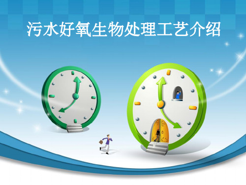 污水好氧生物处理工艺介绍 PPT