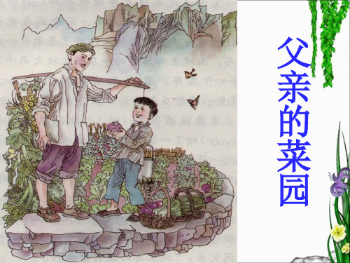 《父亲的菜园》教学课件