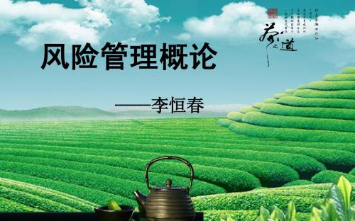第一章 风险管理导论-李恒春