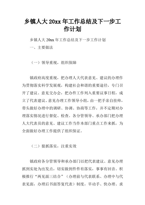 乡镇人大20xx年工作总结及下一步工作计划