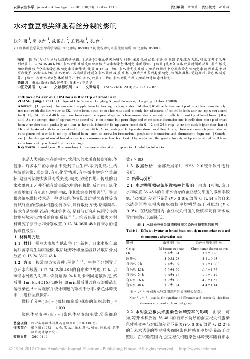 水对蚕豆根尖细胞有丝分裂的影响