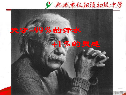 青岛版数学六年级上册百分数.ppt