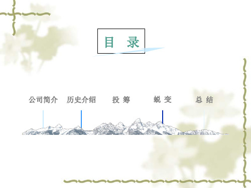 中国远洋财务案例分析