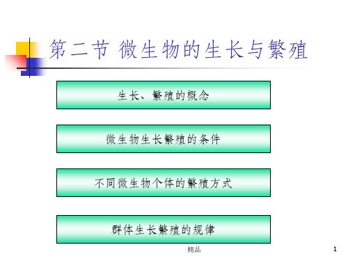 微生物的生长繁殖ppt课件