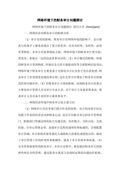 网络环境下的财务审计问题探讨